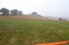 DSC06203-2510181628122-thumb.jpg